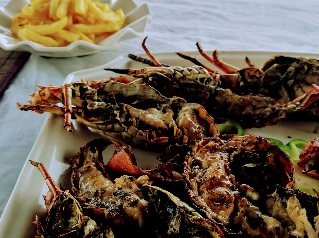 Bethel Evasion主图