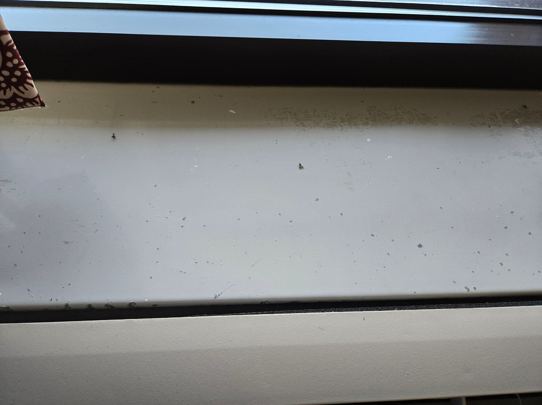 Days Inn by Wyndham Tappahannock主图