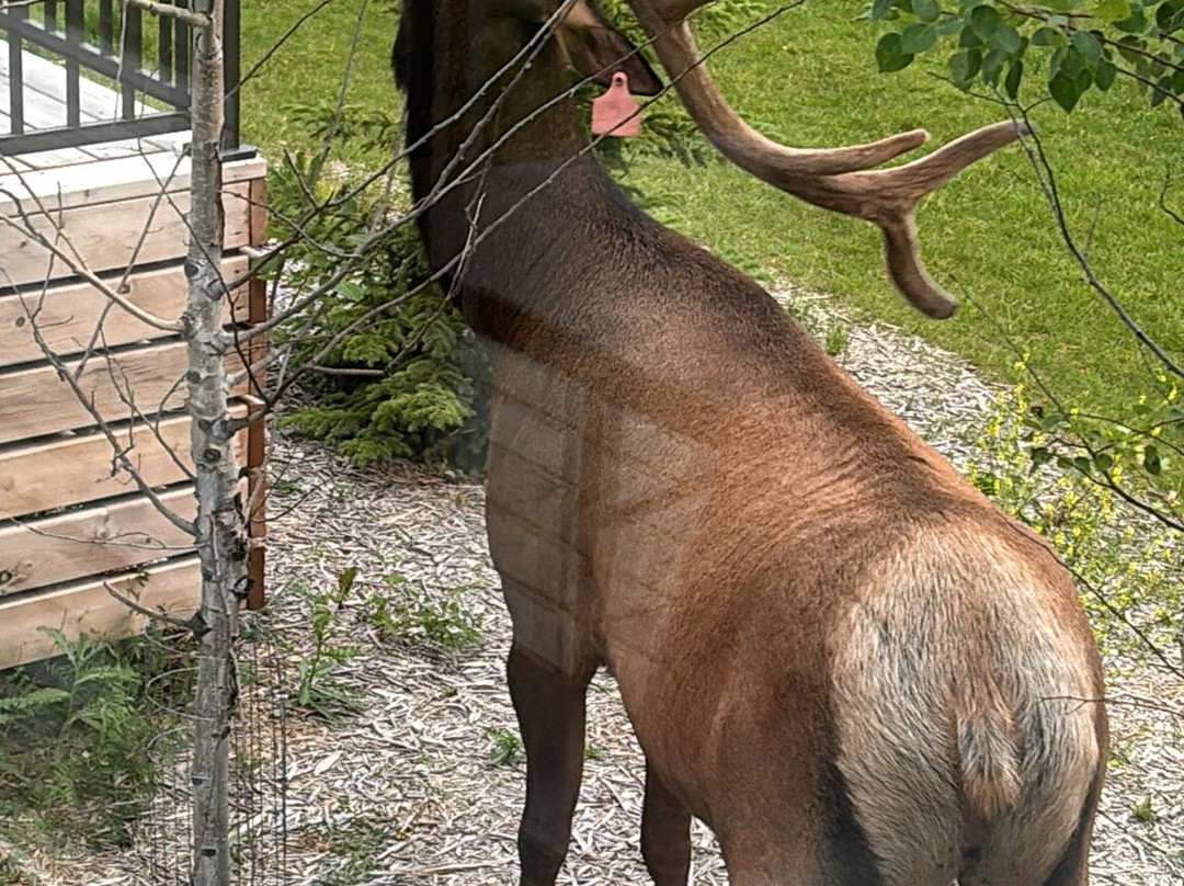 Kapasiwin Bungalows主图