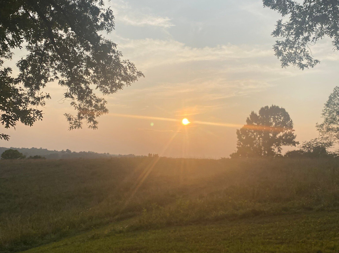 EarthJoy TreeHouse Adventures-Brooksville必去景点