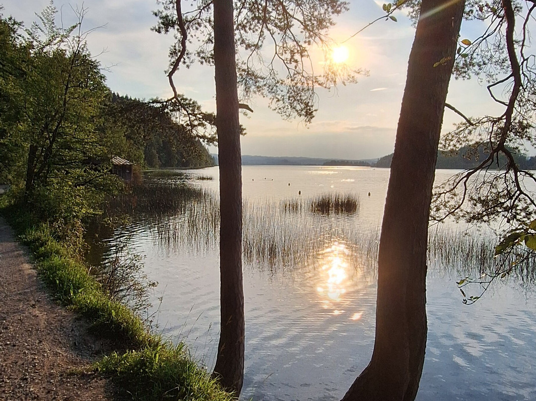 Alpen Gästehaus主图