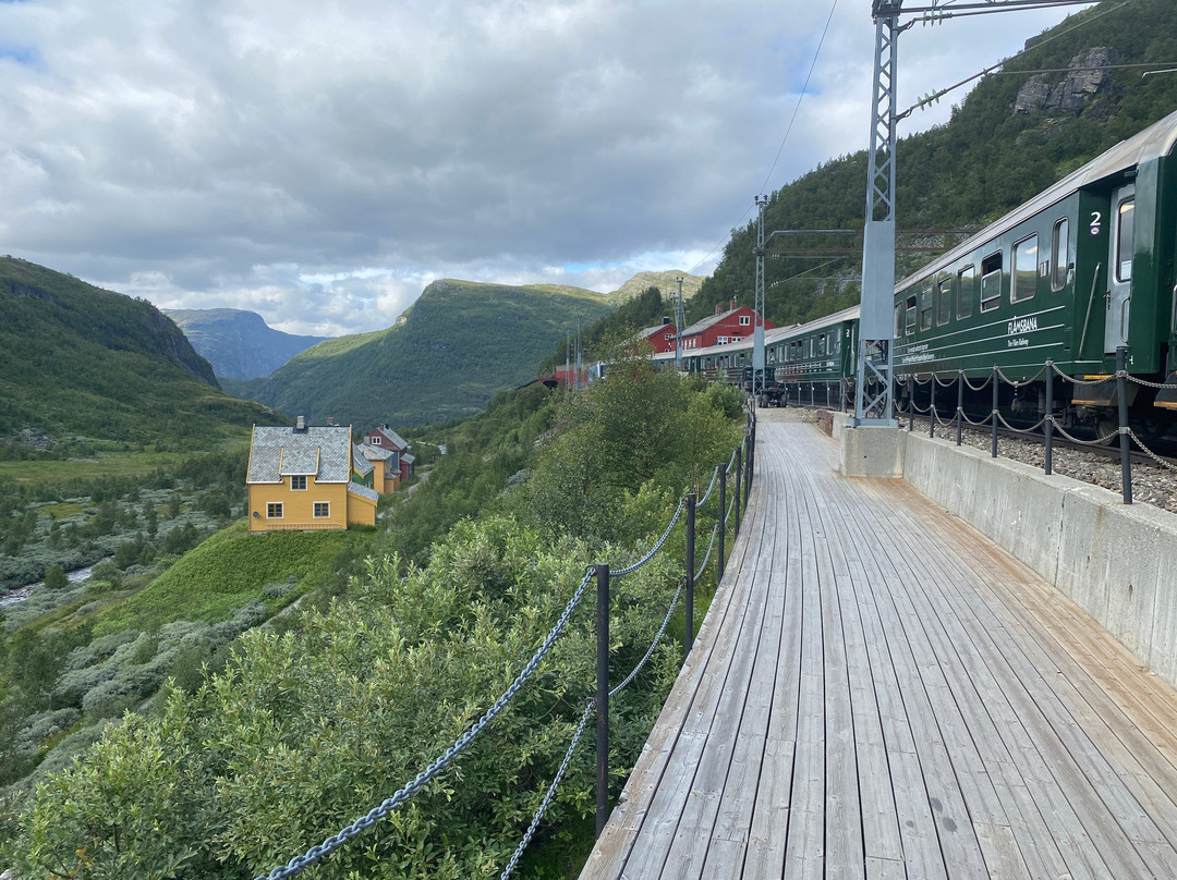 Myrdal Station-米达尔必去景点