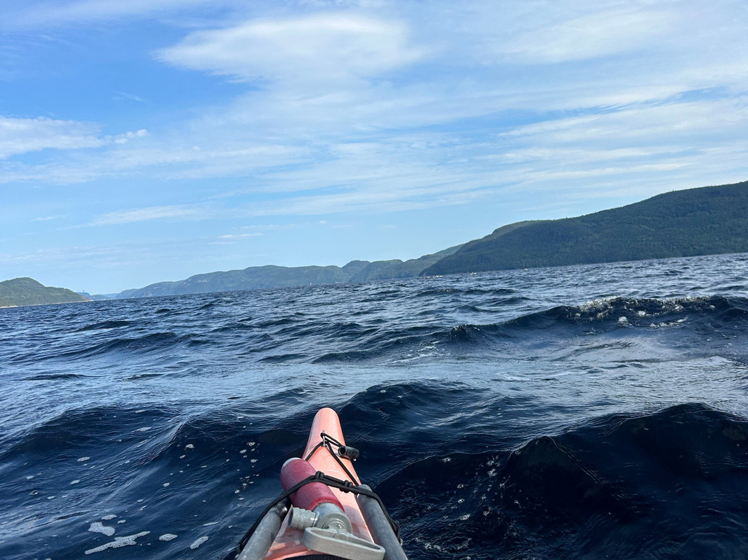 Fjord en kayak景点图片