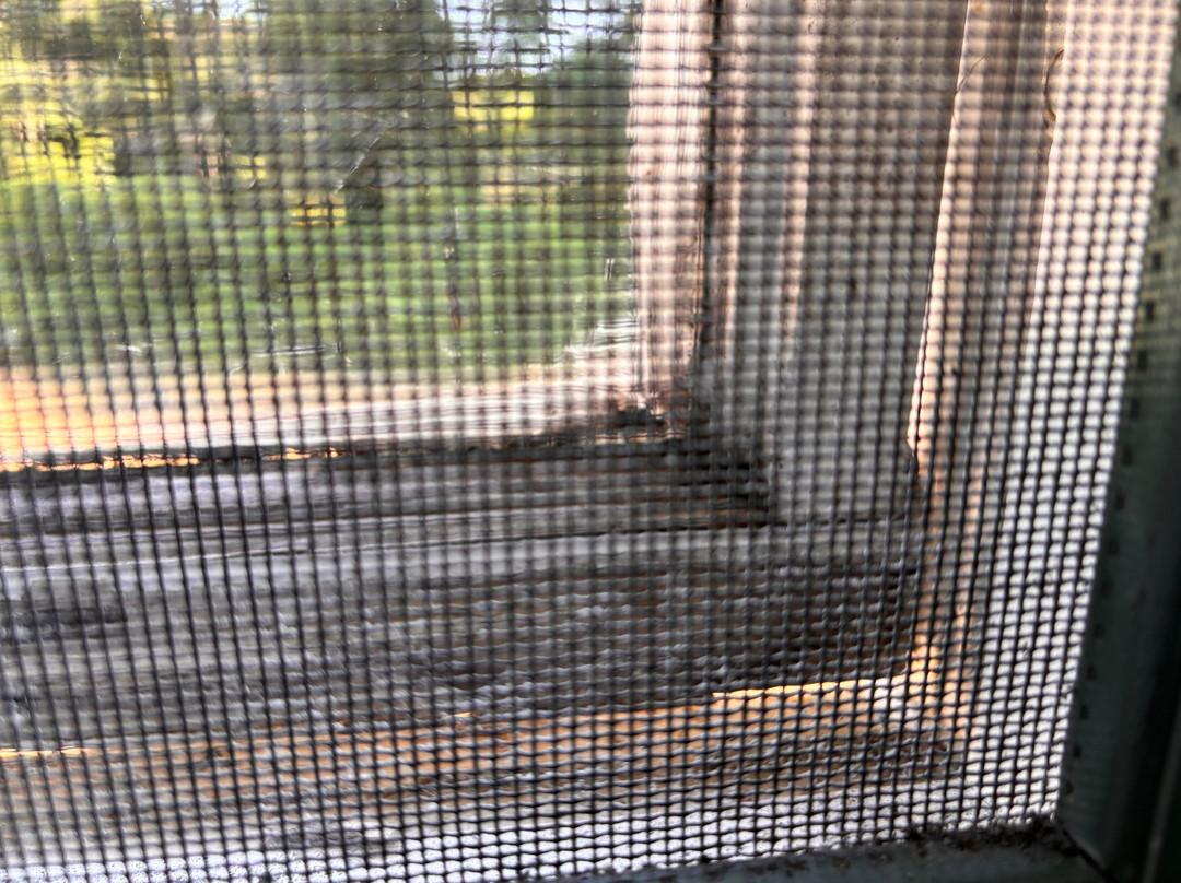 Ne'r Beach Motel主图