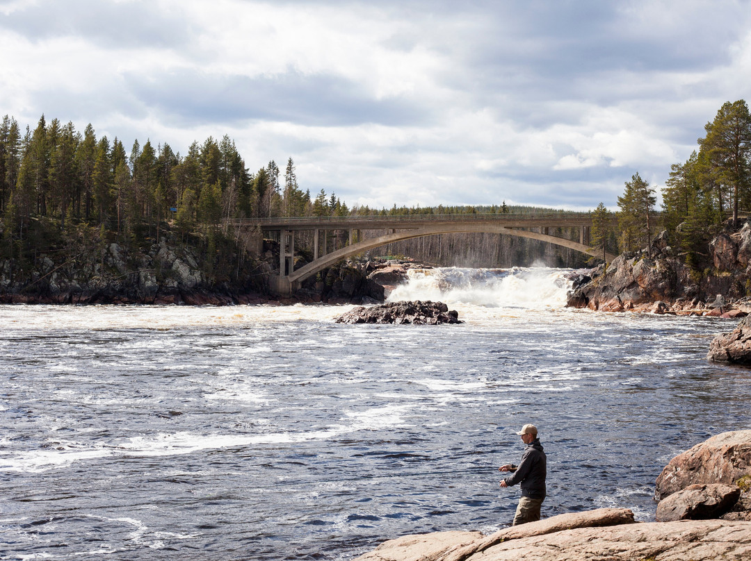 Jockfall Fishing & Activities