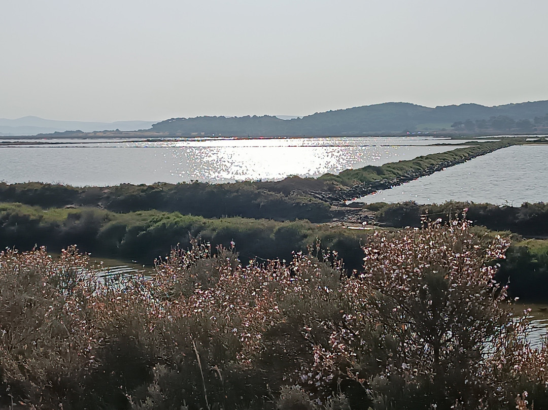 Résidence Goélia Les Jardins de Phoebus主图