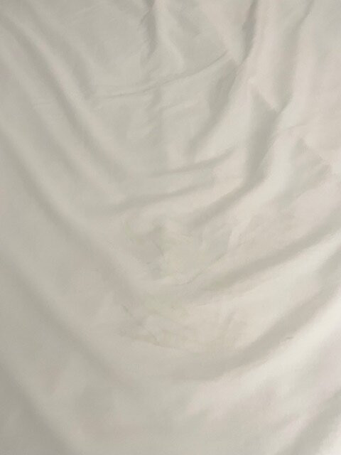 Red Roof Inn & Suites主图