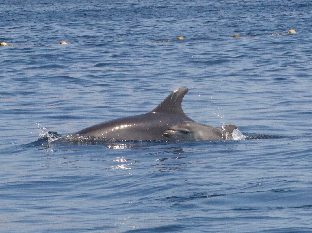 Discover The Blu-圣保罗湾城必去景点