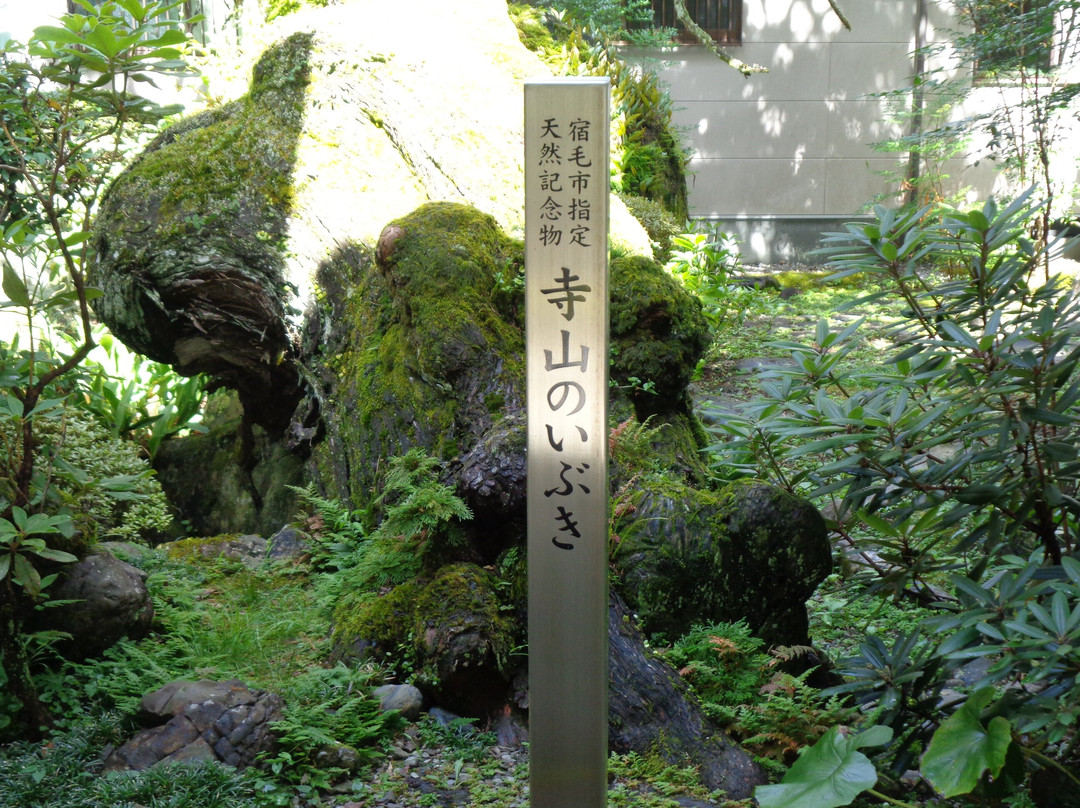 Terayama no Ibuki