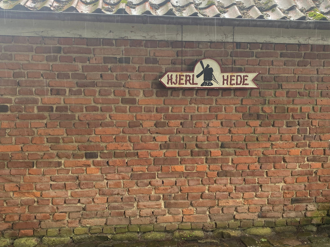 Frilandsmuseet Hjerl Hede景点图片