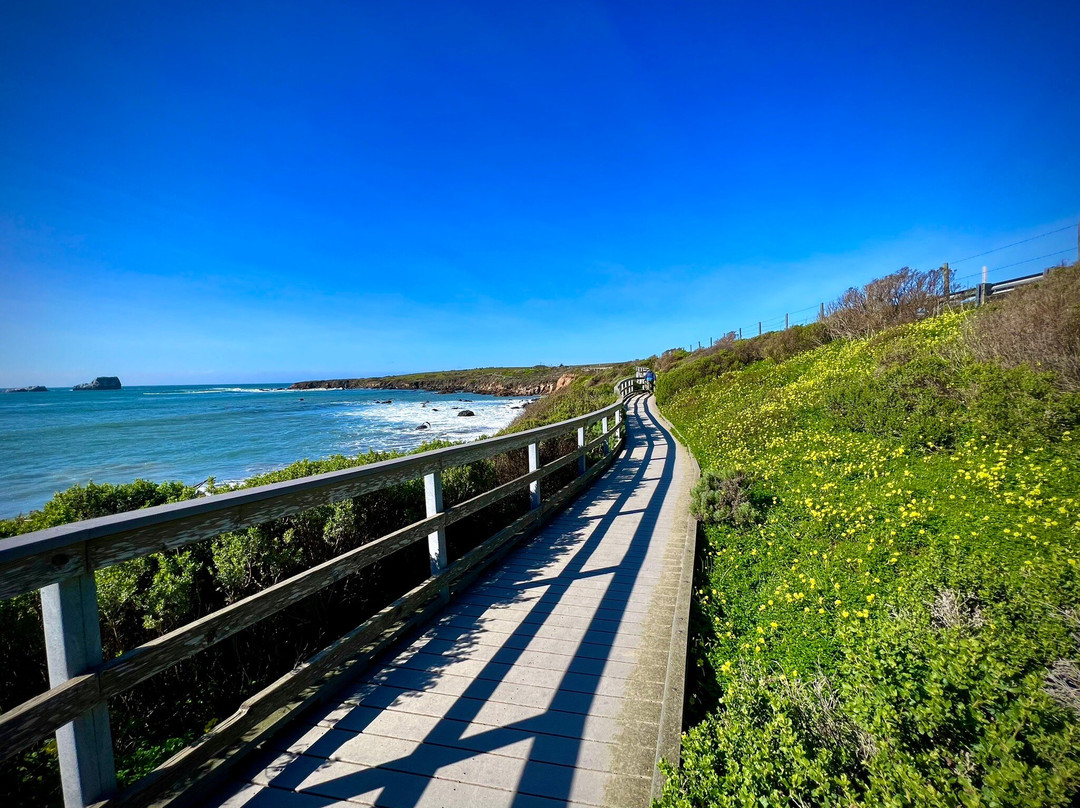 Elephant Seal Vista Point景点图片