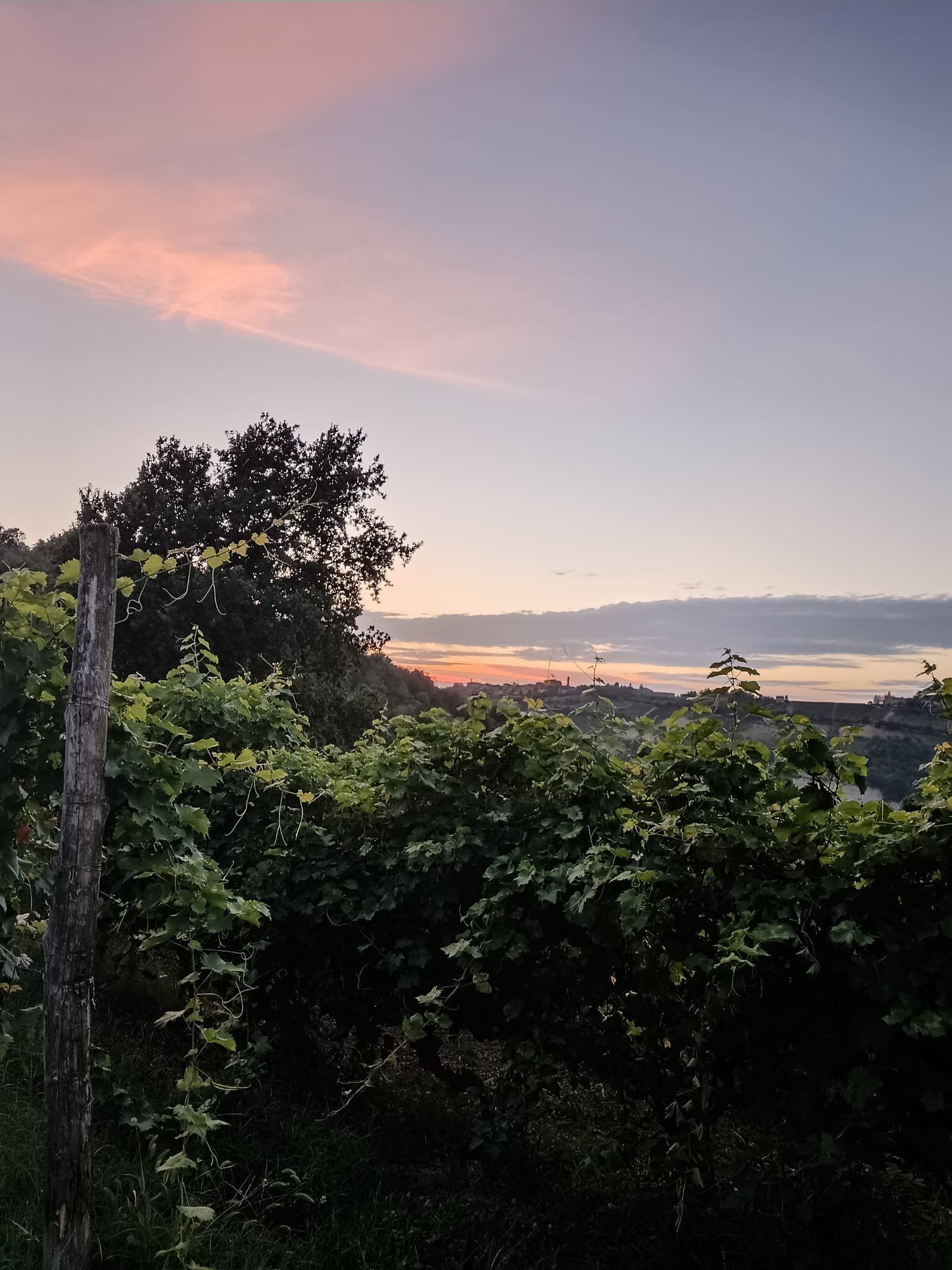 Agriturismo Cascina Serra-官方