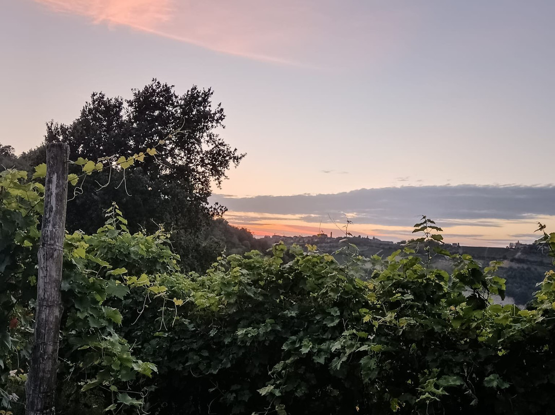 Agriturismo Cascina Serra主图