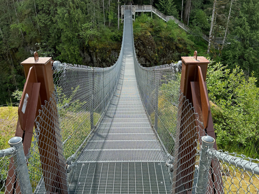 Elk Falls Suspension Bridge景点图片