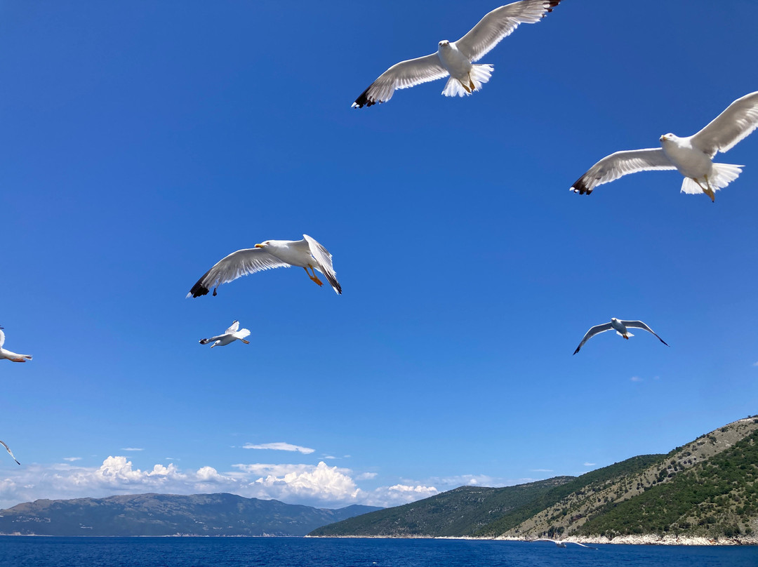 Rabac Excursions-拉巴克必去景点