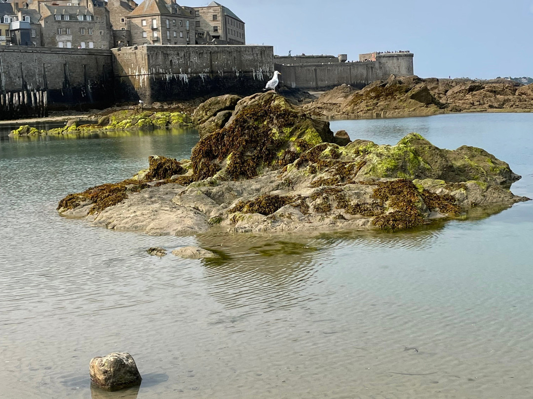 Hôtel Le Nautilus Saint Malo主图