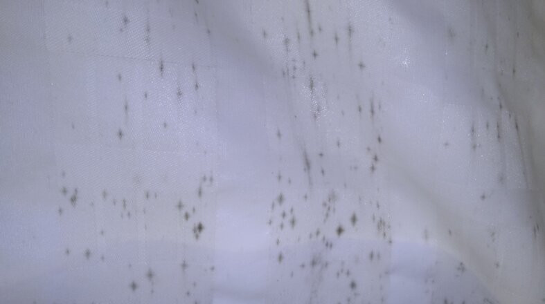 Fenwick Islander Motel主图