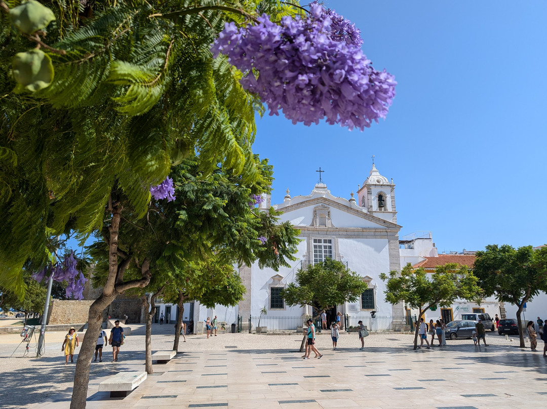 VTours Algarve-法罗必去景点