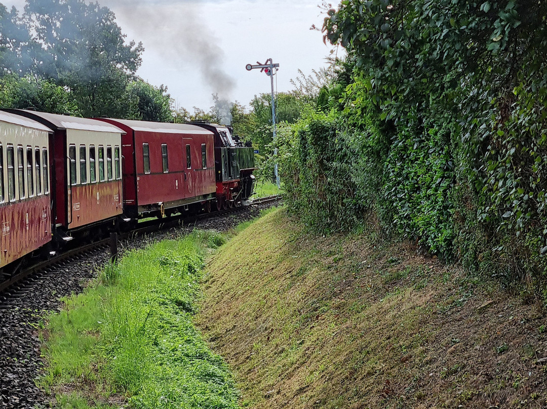 The Mollie Steam Train景点图片