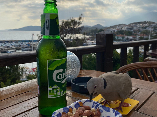 Dejavu Cafe Bar-卡斯必去景点