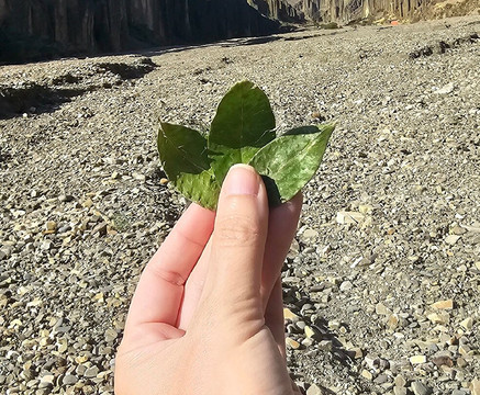 Hola Bolivia Travel-拉巴斯必去景点