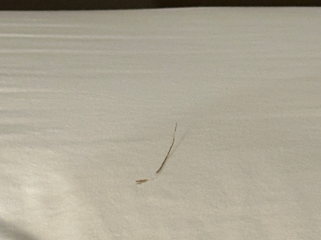 Hampton Inn Lebanon主图