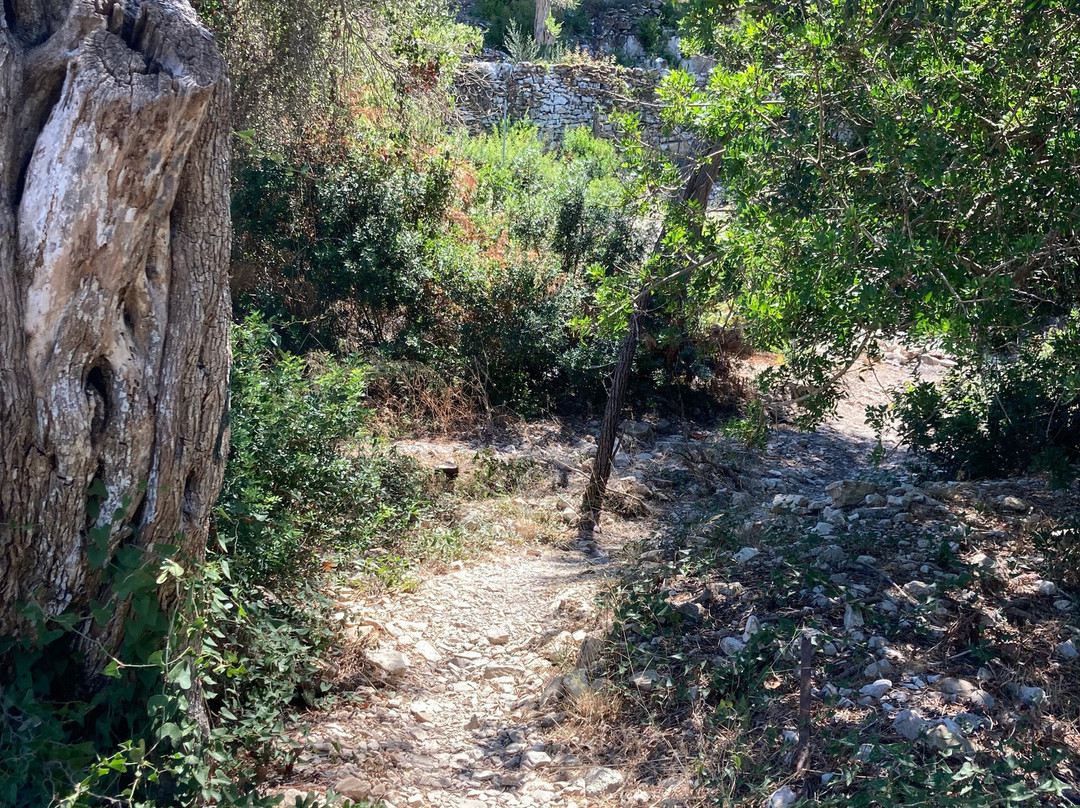 Orkos Beach-Lakka必去景点