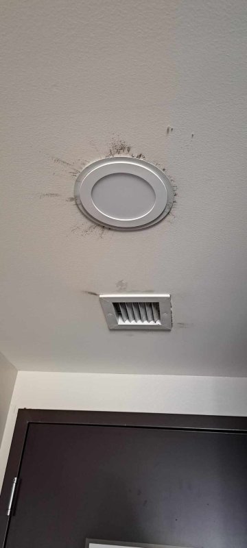 好莱坞娱乐场匹兹堡南部凯悦嘉轩酒店-客卧