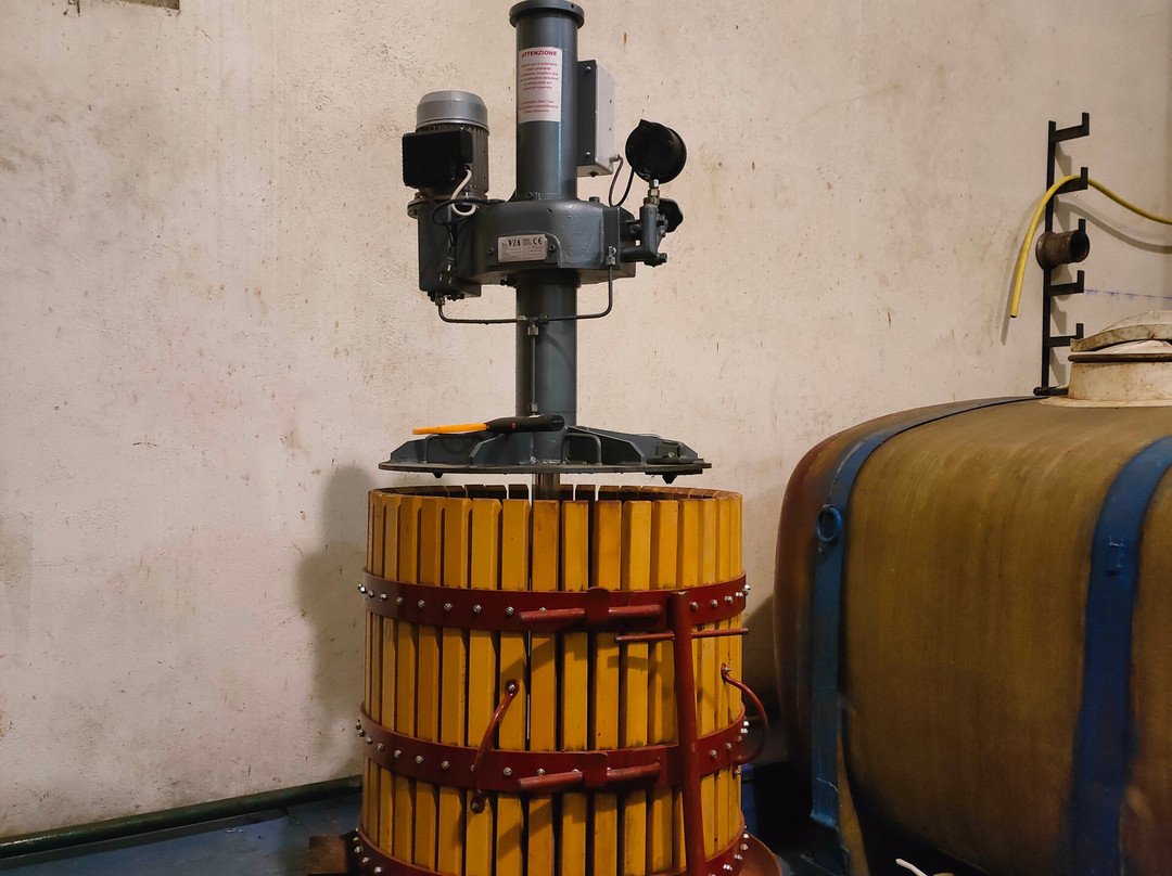 Bodegas Urbina景点图片