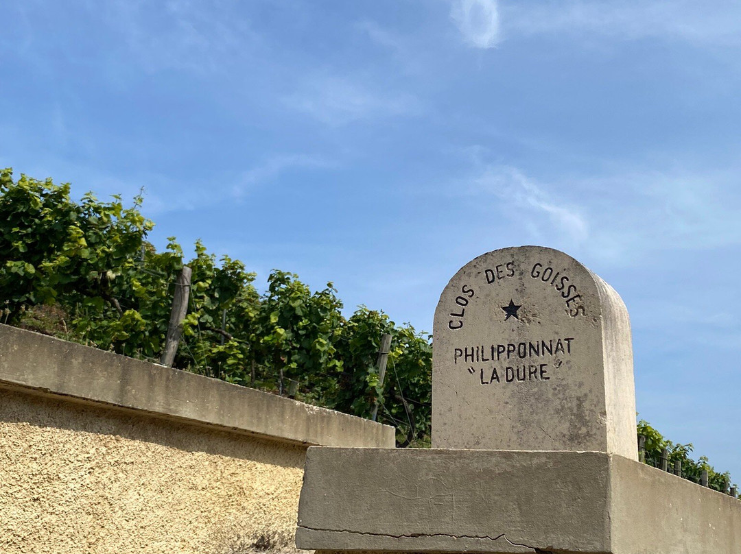Champagne Philipponnat景点图片