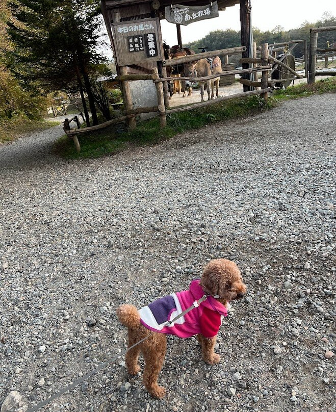 Minamigaoka Ranch-那须町必去景点