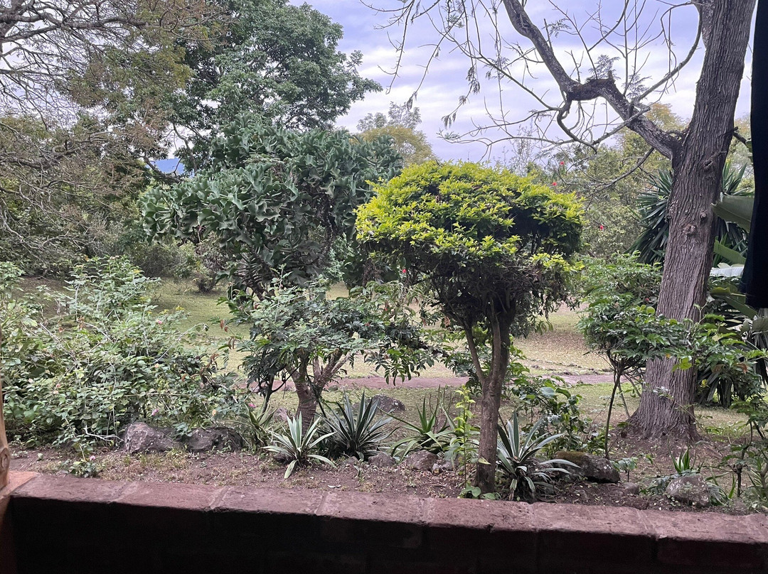 Meru Simba Lodge主图