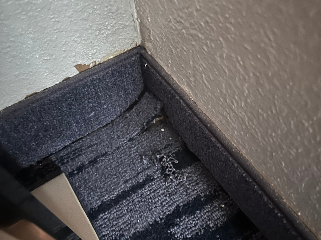 Fairfield by Marriott Inn & Suites Portland Maine Airport主图