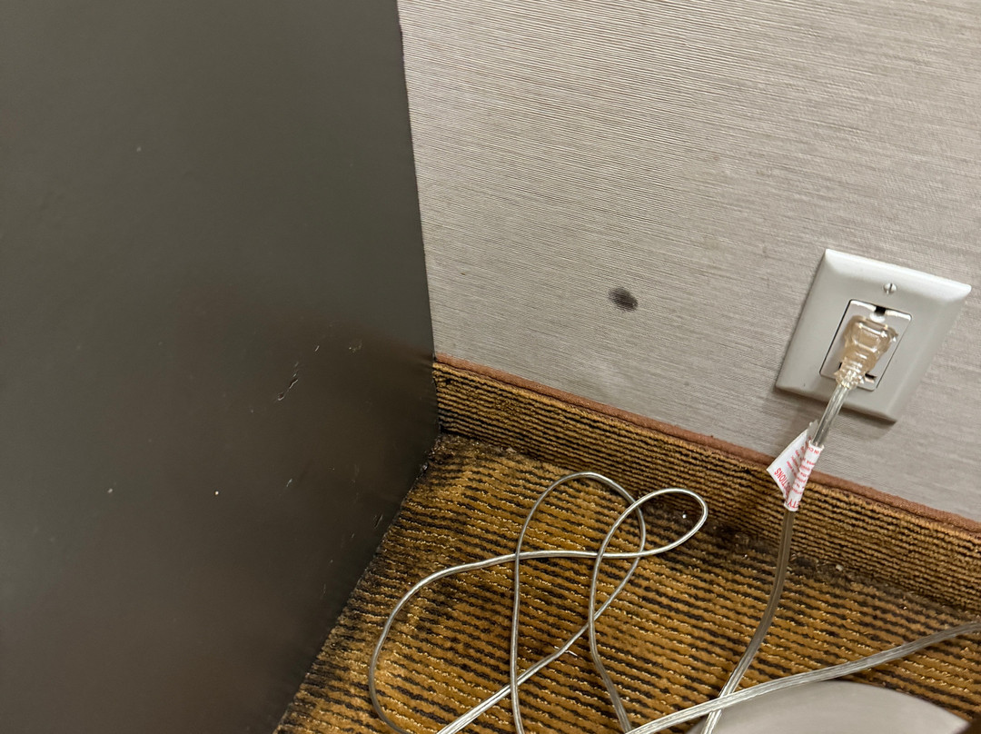 底特律-利沃尼亚/诺维希尔顿合博套房酒店主图