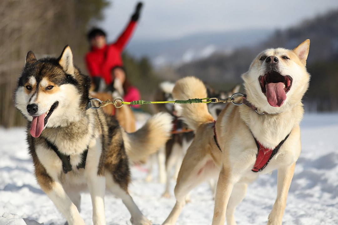 Le Centre d'Activités Mont Tremblant-塔伯拉山必去景点