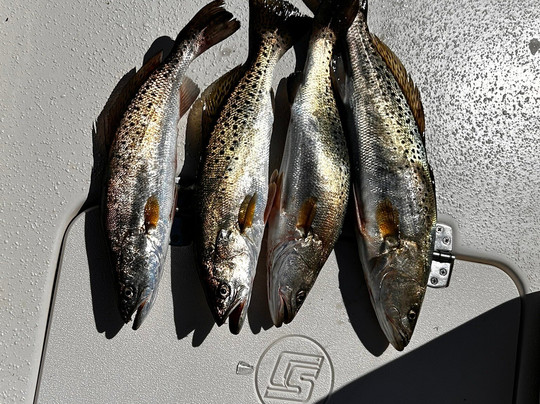 Reel Action Fishing Charters-美特尔海滩必去景点