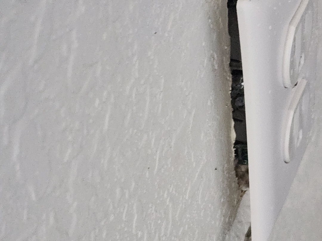 Wingate by Wyndham Williamsburg主图