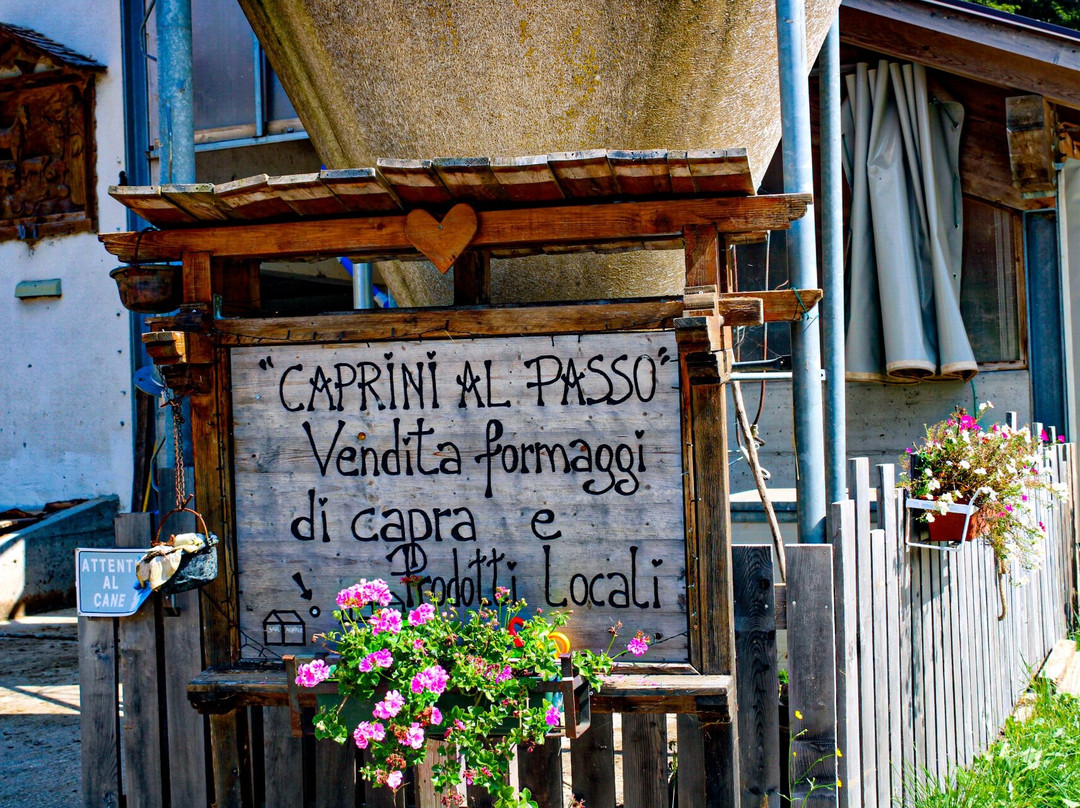 Passo Cereda-Sagron Mis必去景点