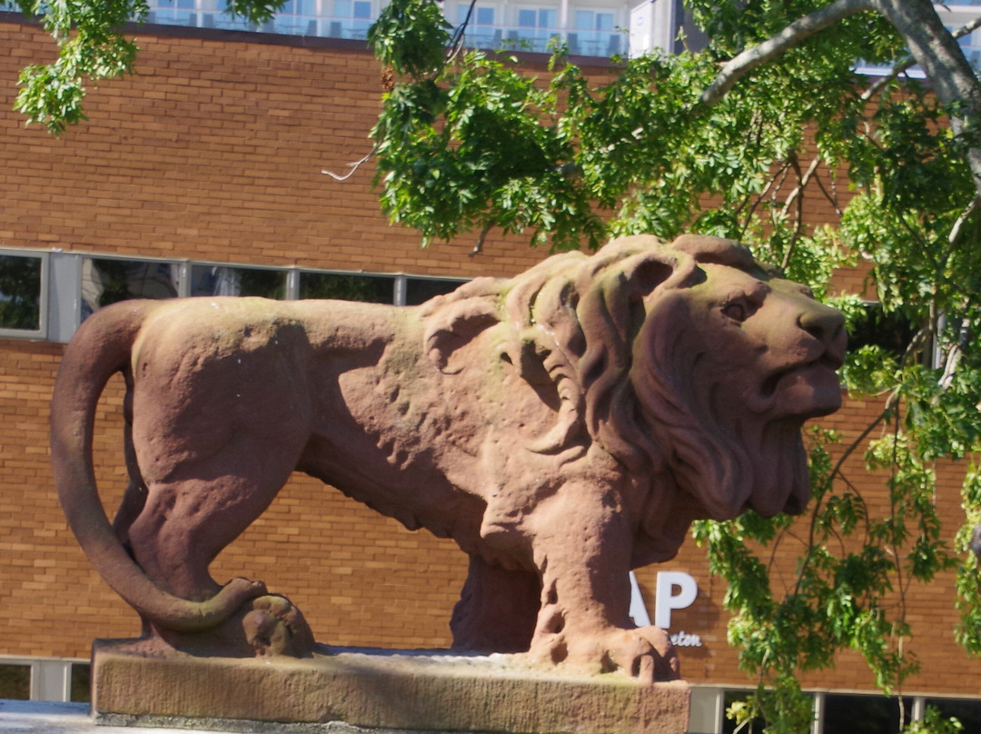 The statue of a lion-悉尼必去景点