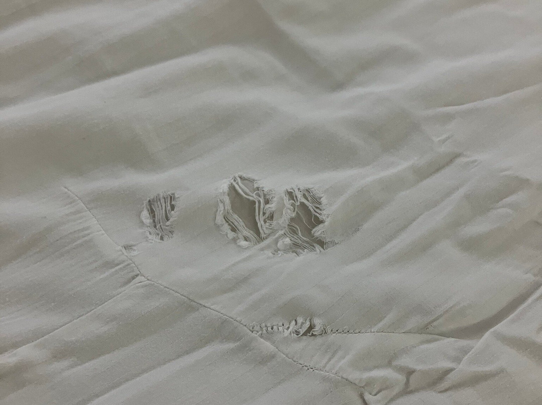 Hotel Shelton Rajamahendri主图