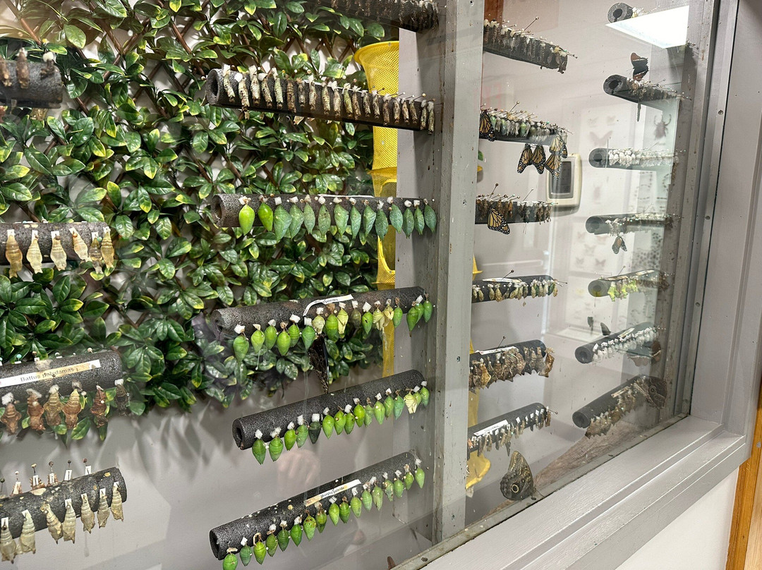 Newfoundland Insectarium-Reidville必去景点