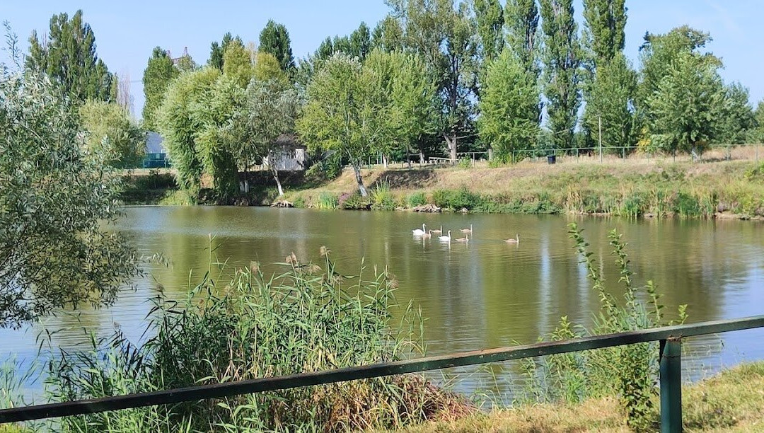 Camping Bucuresti Belvedere