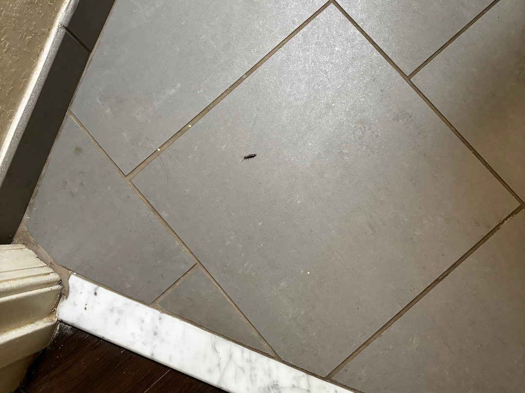 Candlewood Suites Washington-Fairfax by IHG主图