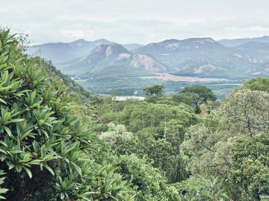 Leopard Tree Retreat主图