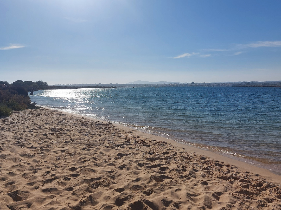 Praia da Terra Estreita景点图片