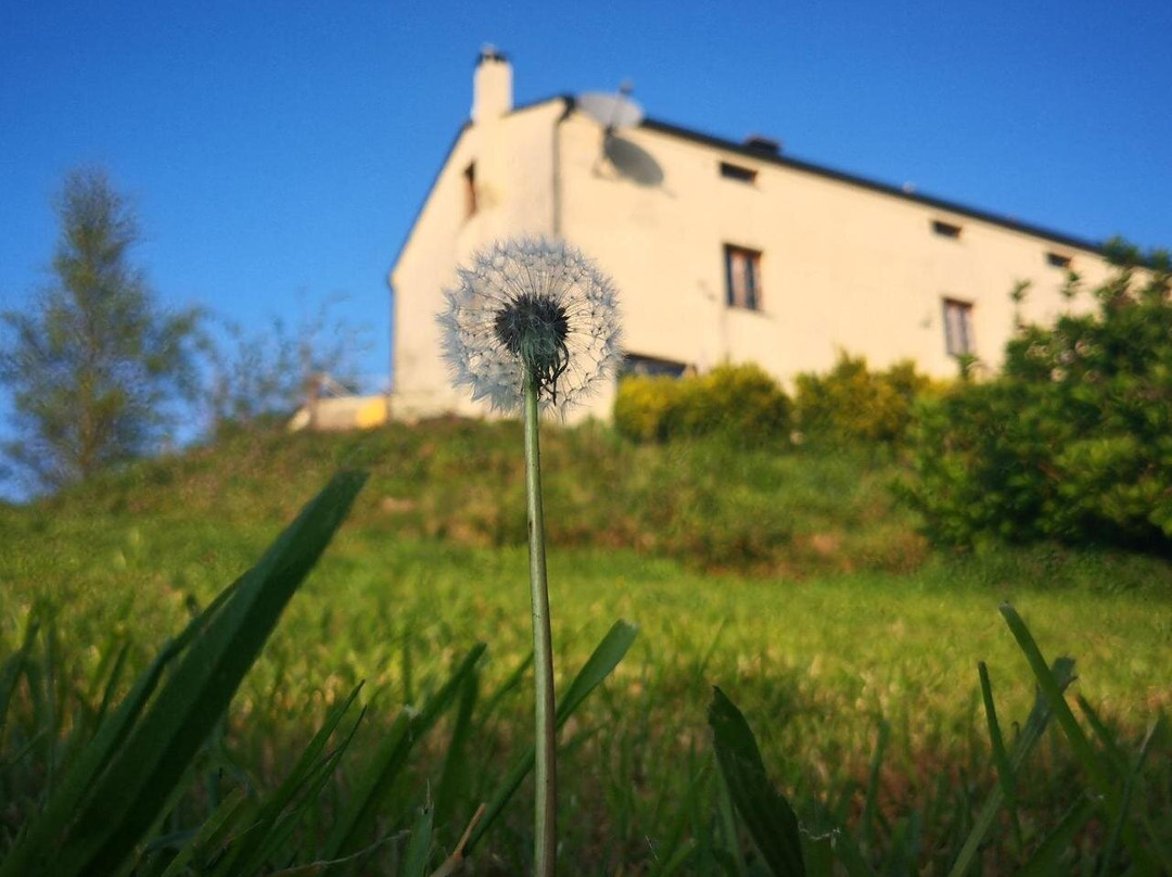Casa a Pedra