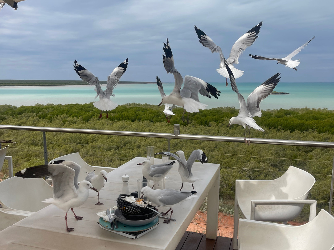 红树林酒店主图