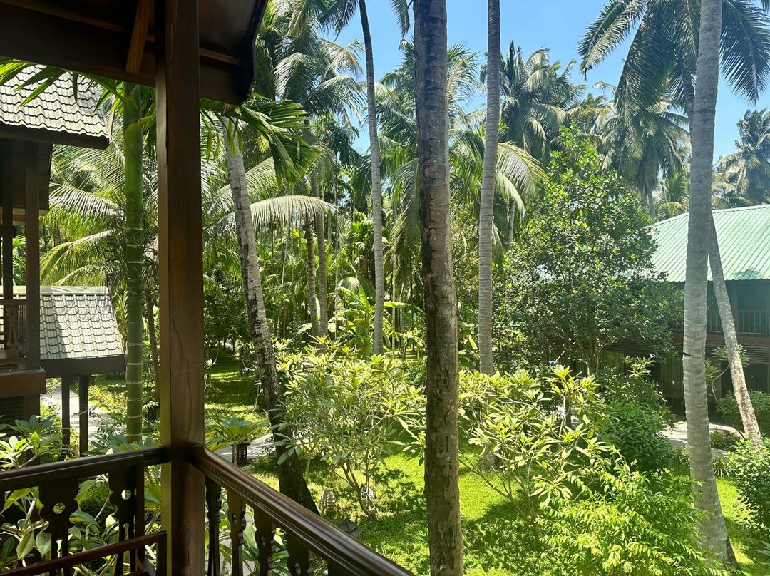 Sea Shell Neil主图