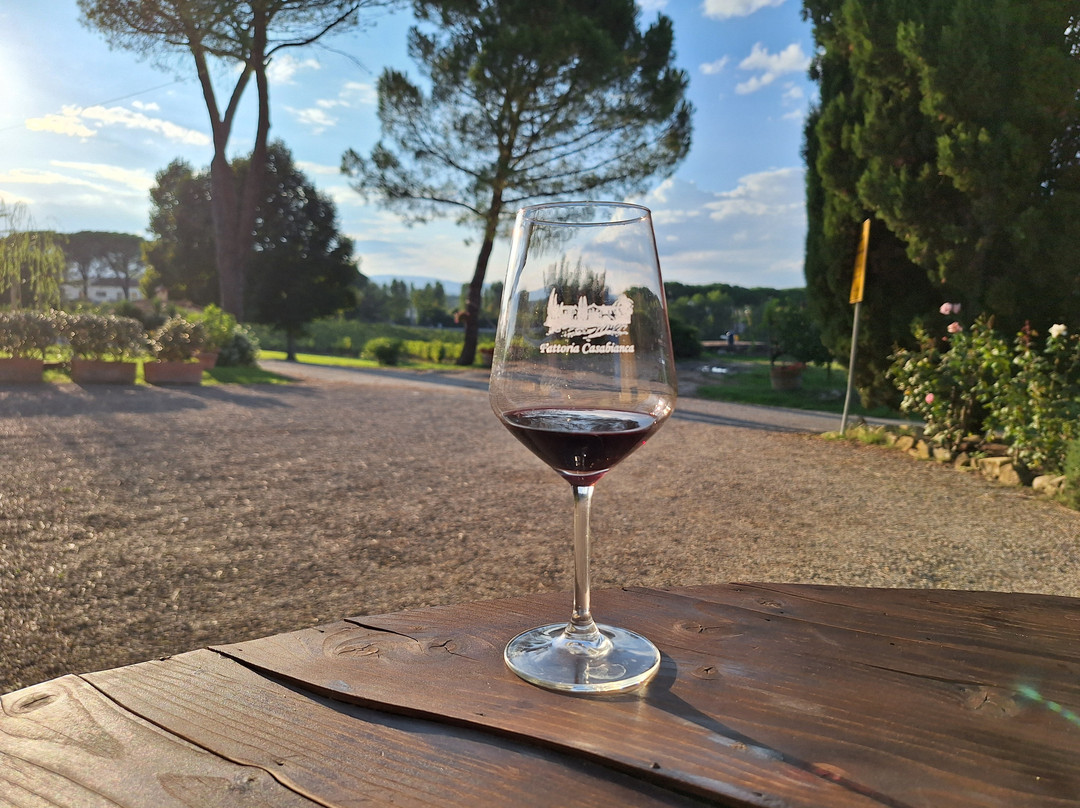 Fattoria Casabianca