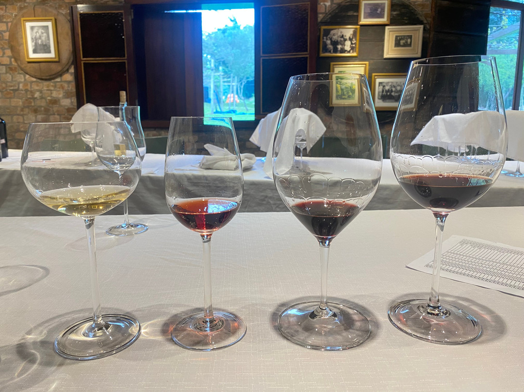 Vinhos Bettú景点图片
